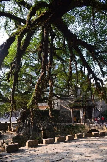 博皓游記 | 夏風(fēng)微醺的綺夢，領(lǐng)略賀州黃姚古鎮(zhèn)、姑婆山閑憩之美-12