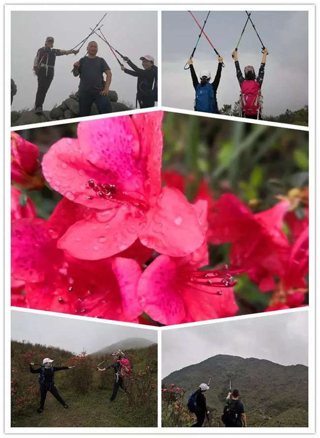 3月29日，云浮新興縣登天麓山&賞杜鵑花