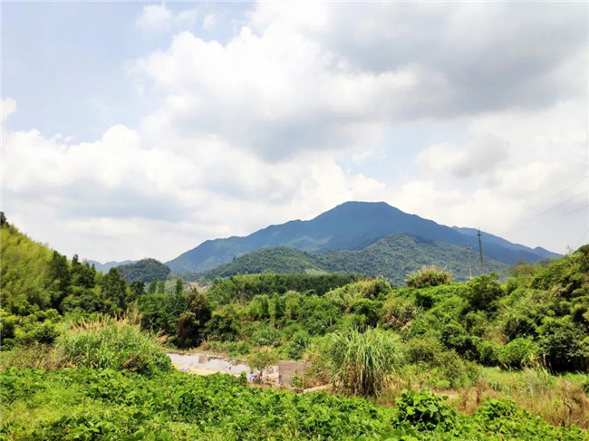 呼吸鮮氧，踐行公益——廣東博皓公益活動(dòng)：星溪線公益環(huán)?；顒?dòng)   -6