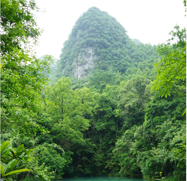 賞華夏大地，游多彩貴州-－2021年廣東博皓快樂行-2