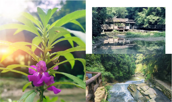 “湘”約鳳凰，相守未來——2022博皓快樂湖南行    -34