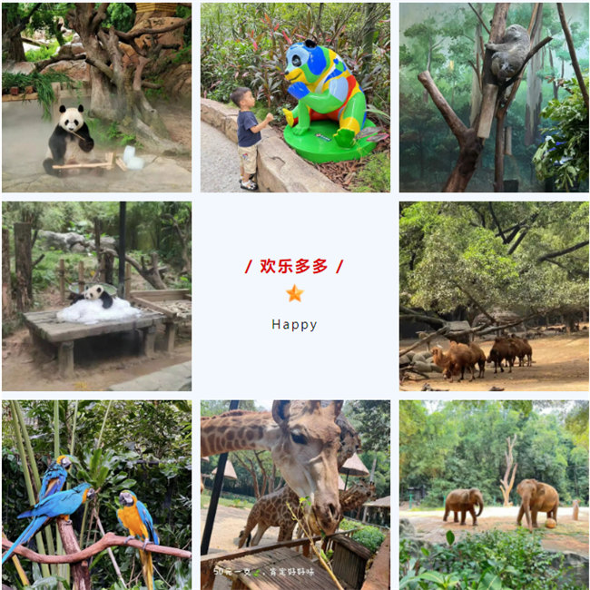 大手牽小手，快樂親子游！廣東博皓2023年親子游活動(dòng)        -8