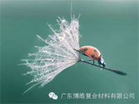 【博皓感悟】成功，要“借力”，不要“盡力”