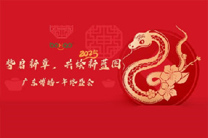 勢(shì)啟新章，共繪新藍(lán)圖—廣東博皓年終盛會(huì)