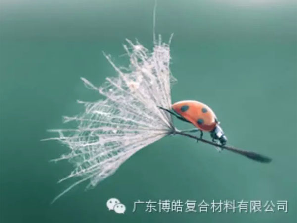 【博皓感悟】成功，要“借力”，不要“盡力”
